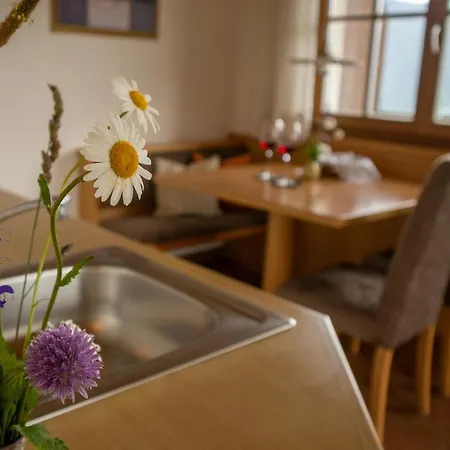 Schwarzplatterhof 아파트 *