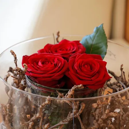 Schwarzplatterhof 메라노