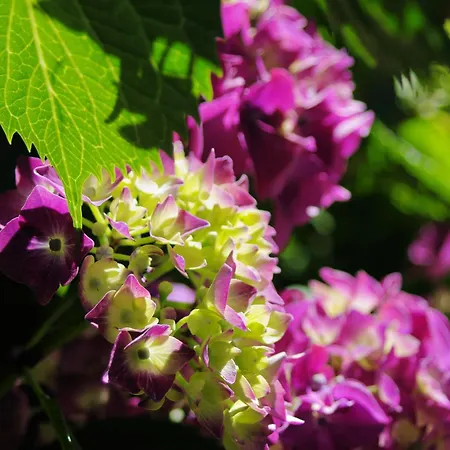 아파트 Schwarzplatterhof *