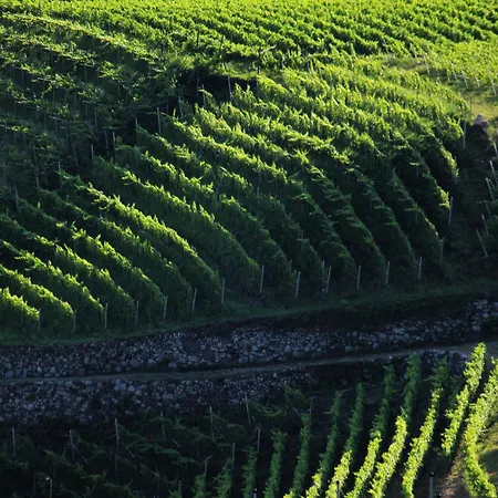 公寓 施瓦兹拉特霍夫旅馆