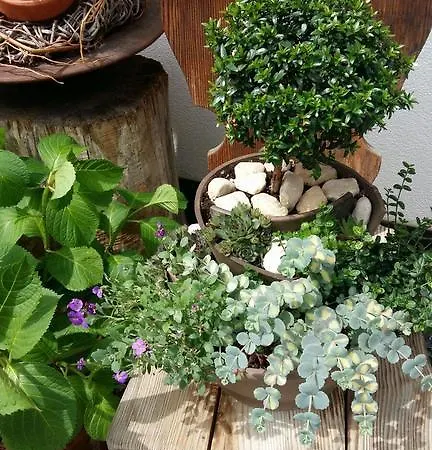 Schwarzplatterhof 메라노