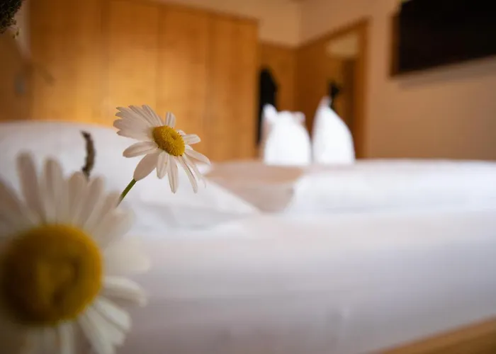 Schwarzplatterhof * Merano