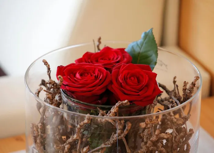 Schwarzplatterhof Merano