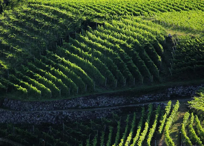 Appartamento Schwarzplatterhof