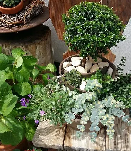 Schwarzplatterhof Meran